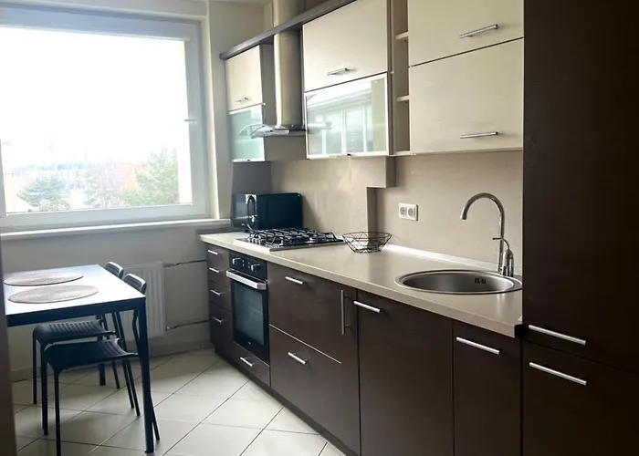 Apartamentai 11 דירה